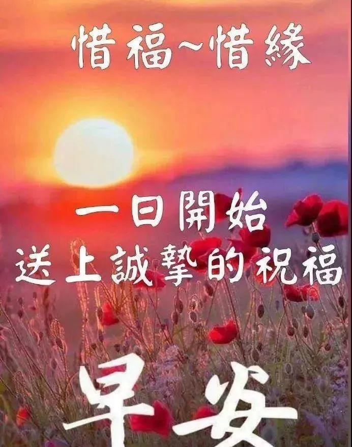 今日心语早上好正能量（早安心语优美的语句早安图片）