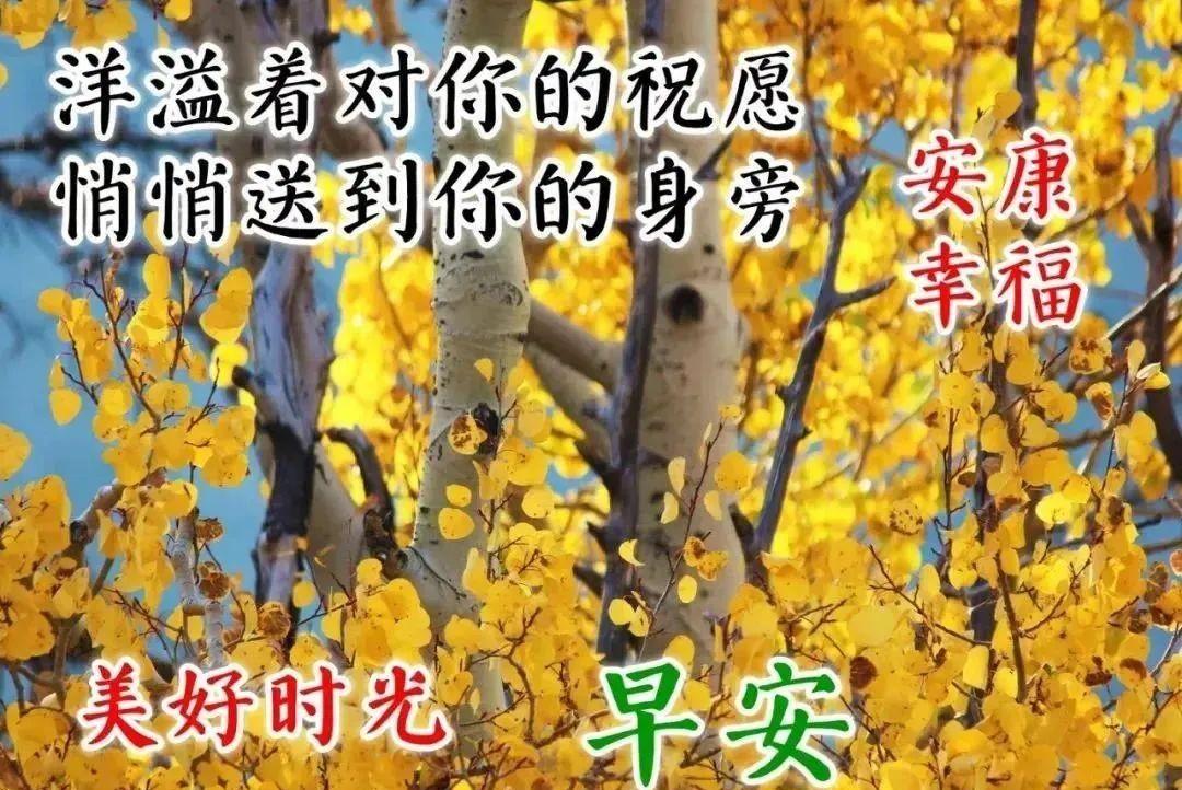 励志的句子早安经典语句（适合早安的励志句子,句句激励人心!）