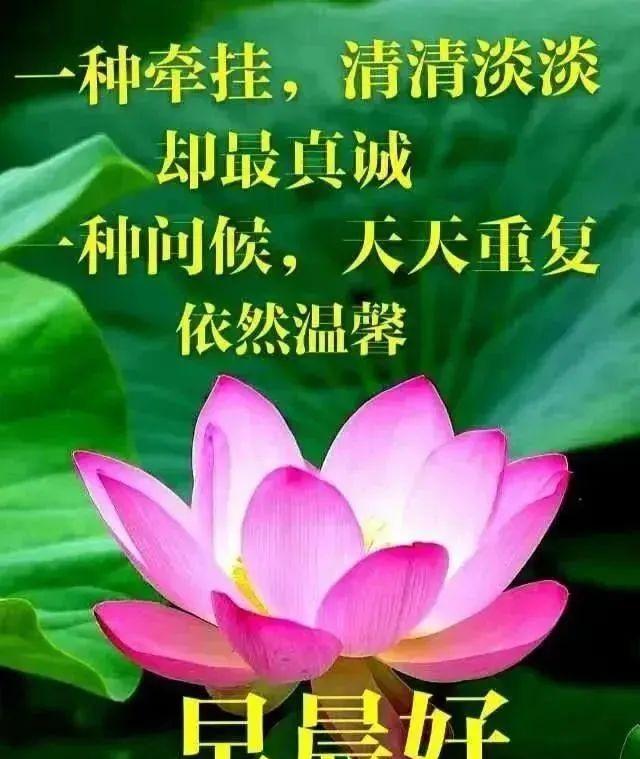 最漂亮早安问候语图片 祝福（清晨最暖心的早安问候语,最美早安带字带祝福图片）