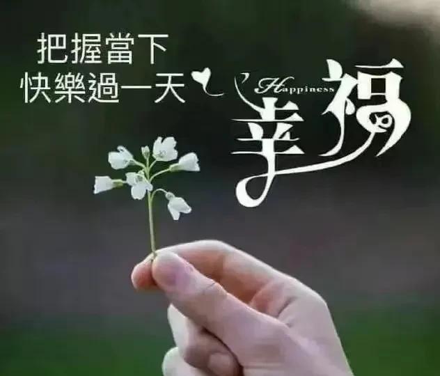 幸福是什么的经典语录（什么是幸福的经典句子）