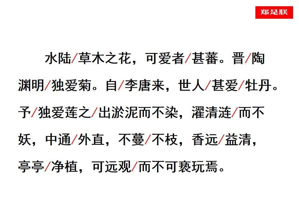 七年级语文下册爱莲说教案（七年级语文下《爱莲说》课件讲解）