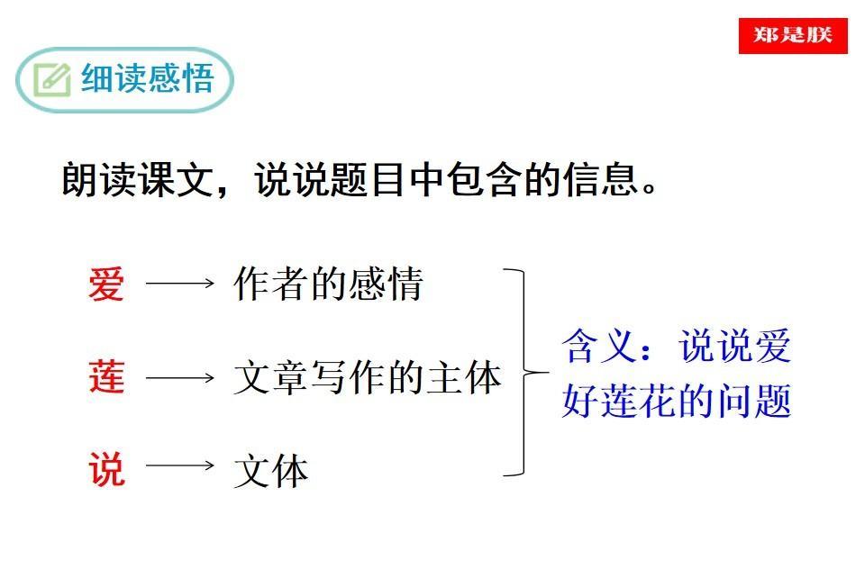 七年级语文下册爱莲说教案（七年级语文下《爱莲说》课件讲解）