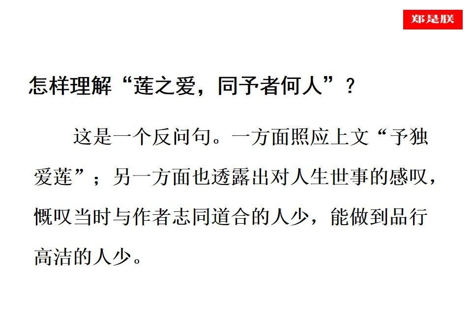 七年级语文下册爱莲说教案（七年级语文下《爱莲说》课件讲解）