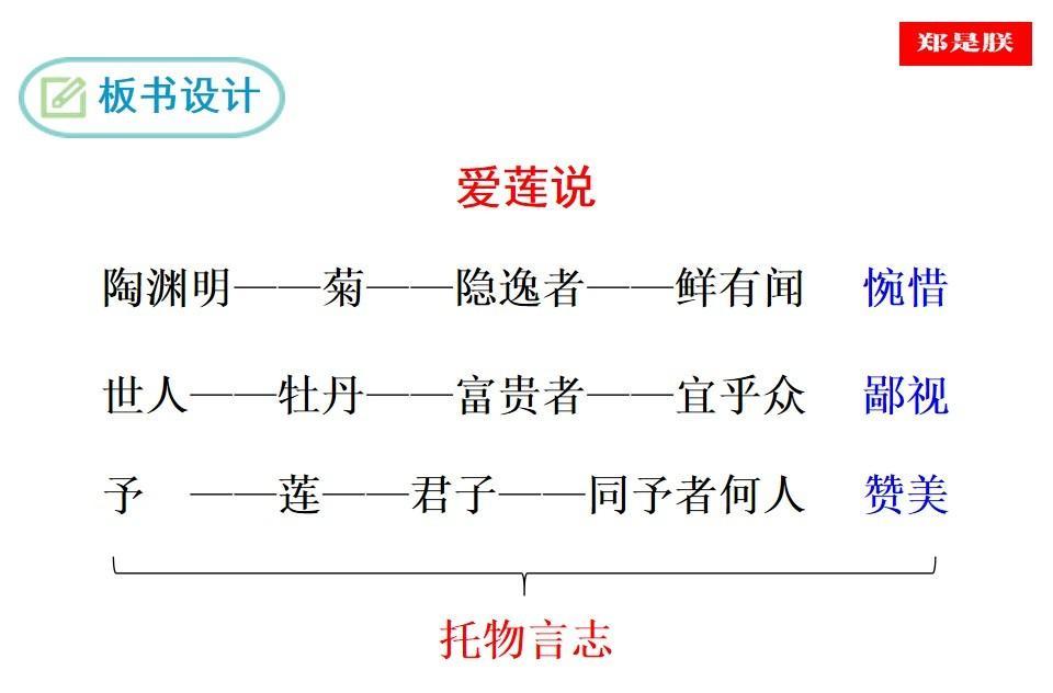 七年级语文下册爱莲说教案（七年级语文下《爱莲说》课件讲解）