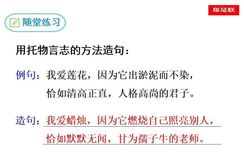 七年级语文下册爱莲说教案（七年级语文下《爱莲说》课件讲解）