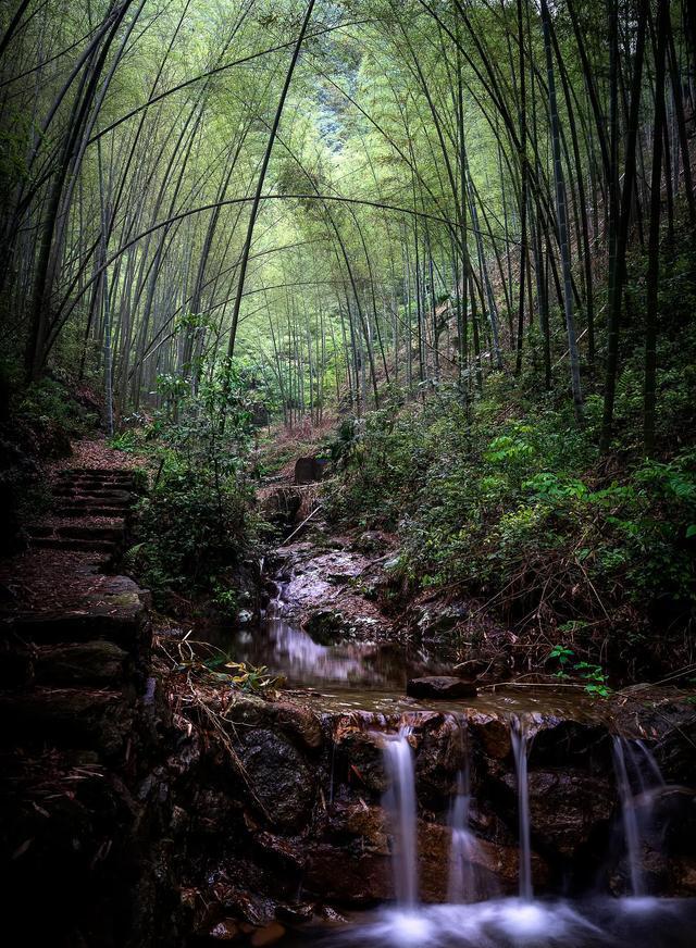 王维的山水田园诗派的诗（王维的山水田园诗句有哪些）