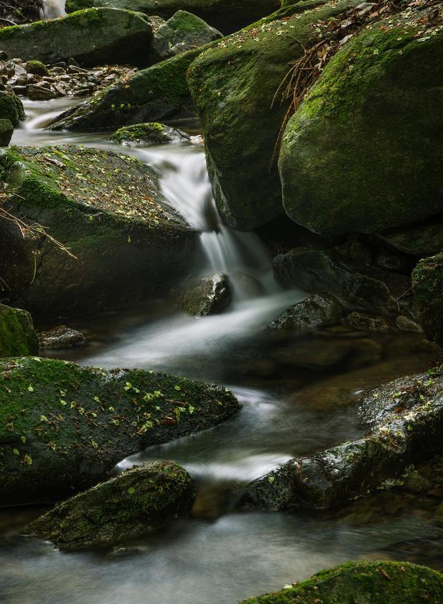 王维的山水田园诗派的诗（王维的山水田园诗句有哪些）