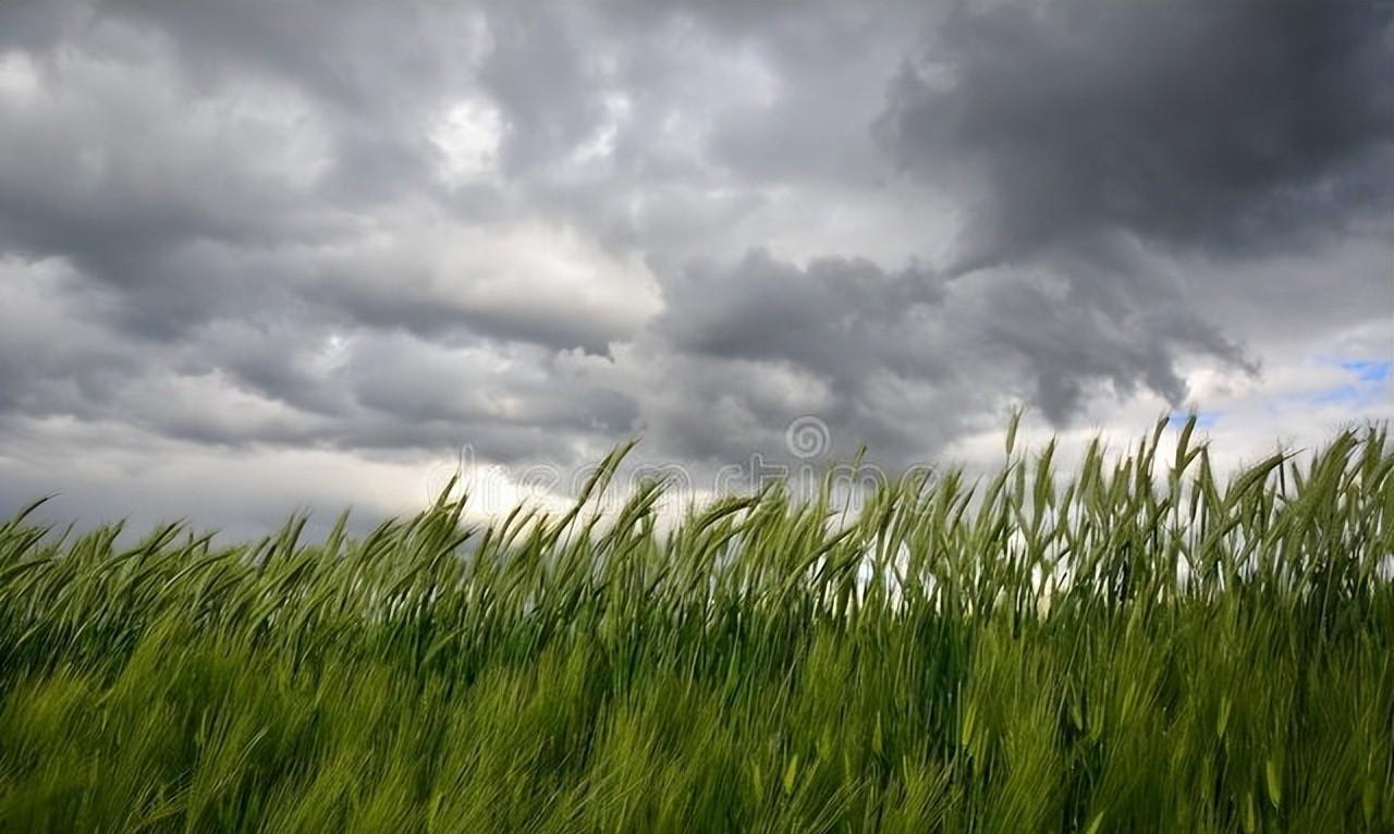 ​暑夏白雨美诗文八则，李白浪漫，苏轼豪放，杨万里大气喜雨