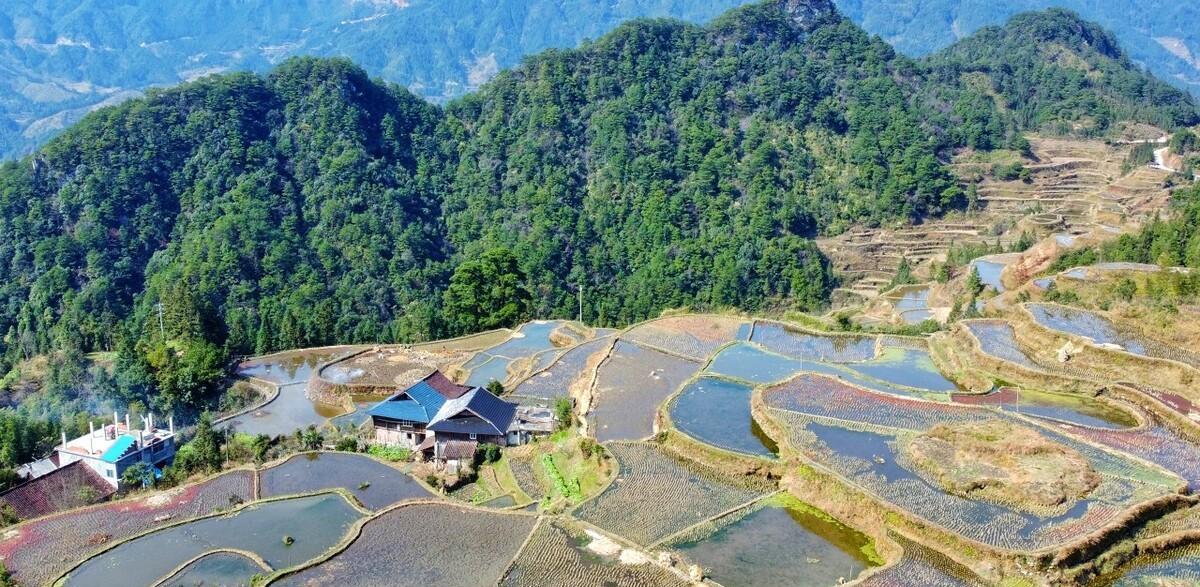 青山绿水七律诗词（赞美青山绿水的七律）