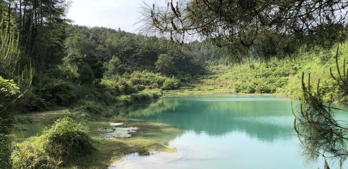 青山绿水七律诗词（赞美青山绿水的七律）