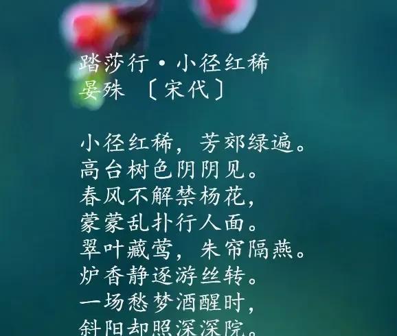 春天景色美如画的诗句（描写春天美景的古诗名句）