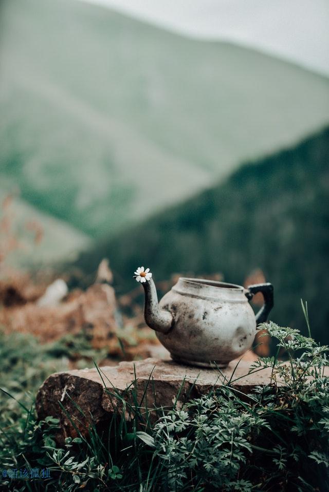 雨后景色散文（写雨后的景色的文章）