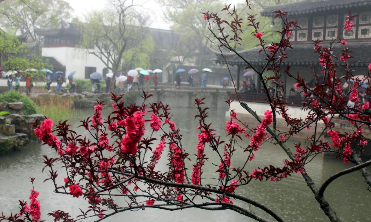 关于雨的诗词名句有哪些（描写雨的诗词名句）