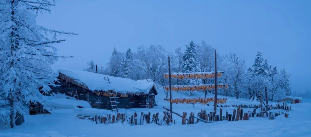 描写雪后美景的佳句（关于赞美雪后景色的诗句）