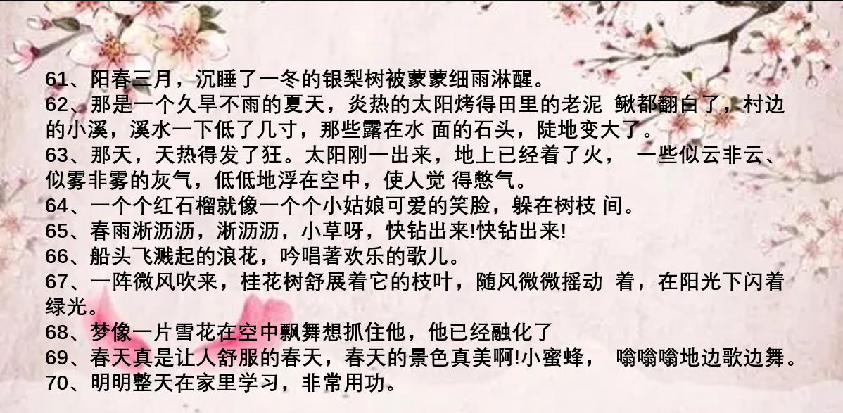 低年级优美句子摘抄大全（小学低年级好句摘抄）