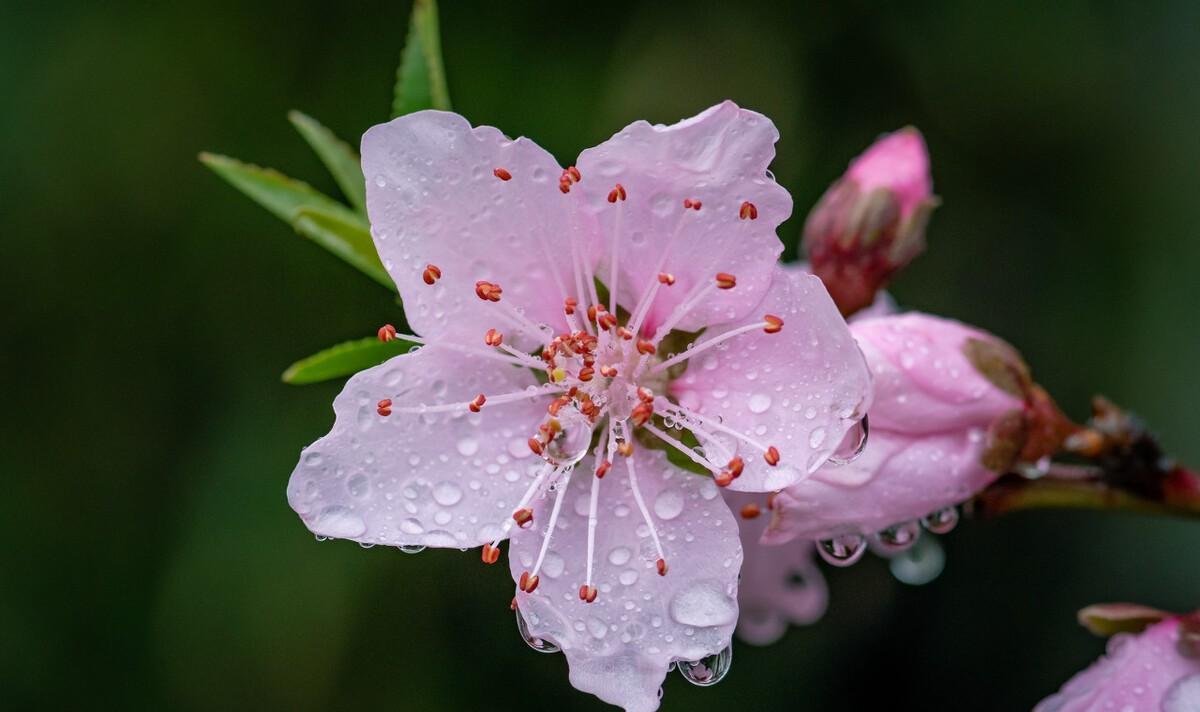 春雨诗词七绝（春风春雨现代七绝诗）