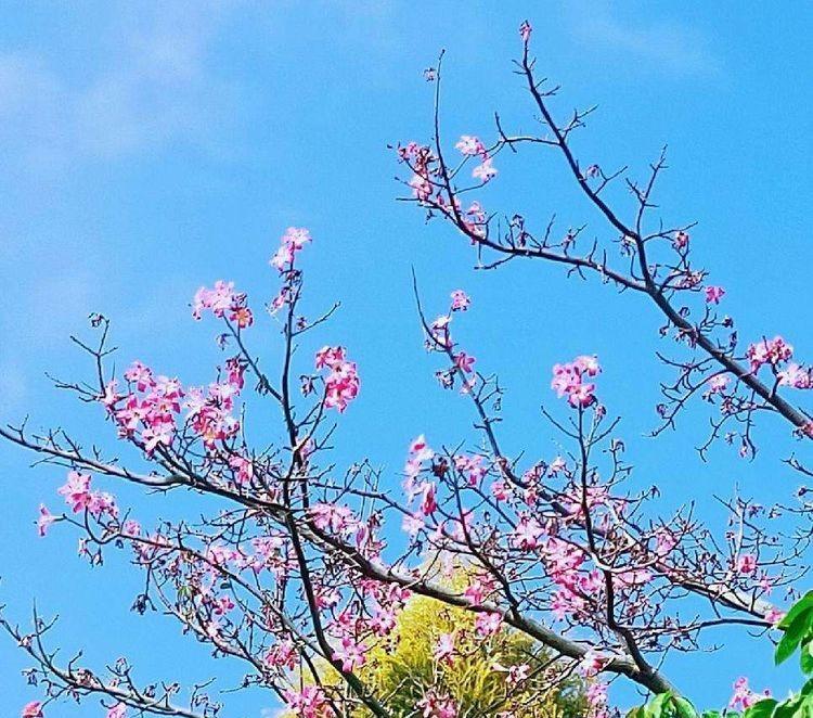 春节盼团圆的诗句（关于新年团圆的诗词）