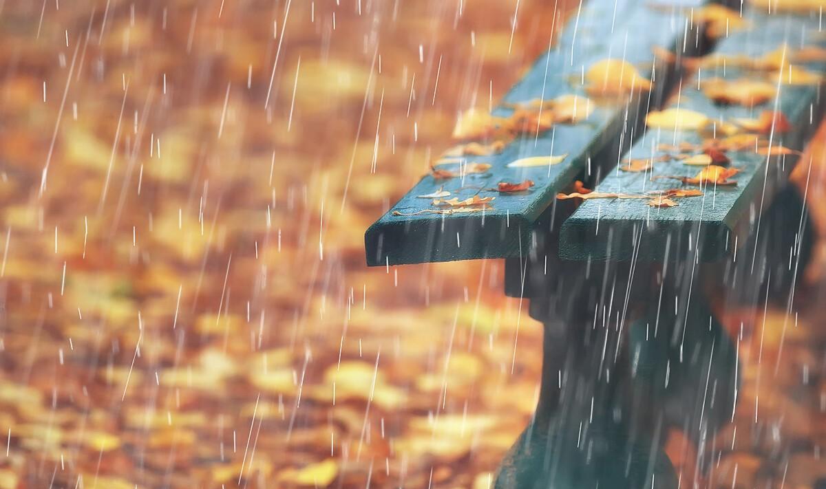 秋雨冷清的诗句子（秋雨凉凉唯美诗句）