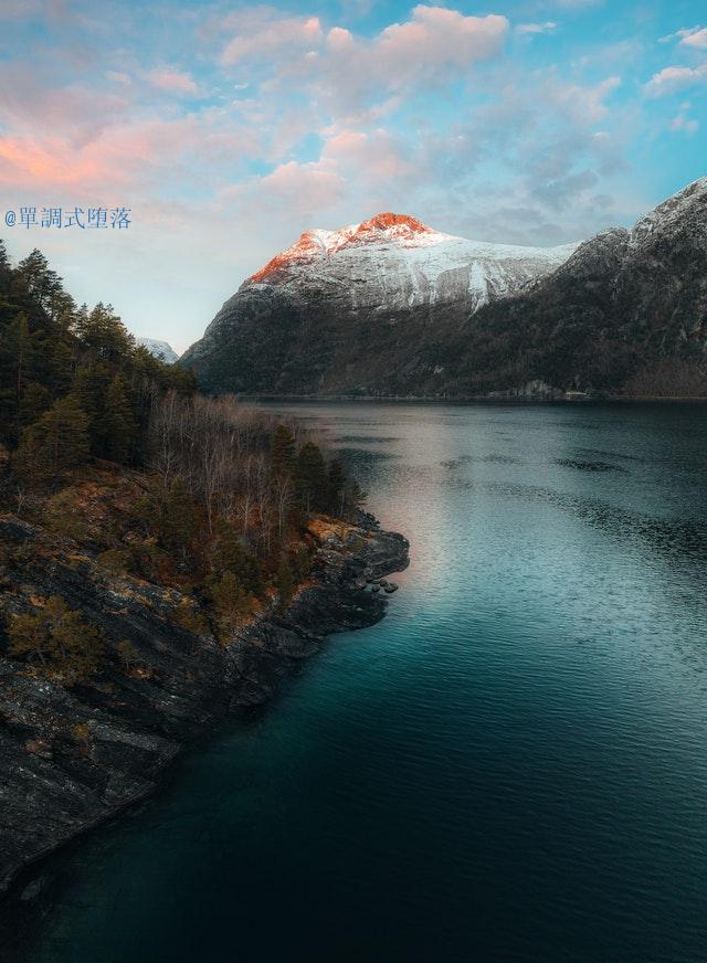 鹧鸪天桂花李清照翻译（鹧鸪天·桂花写作背景）