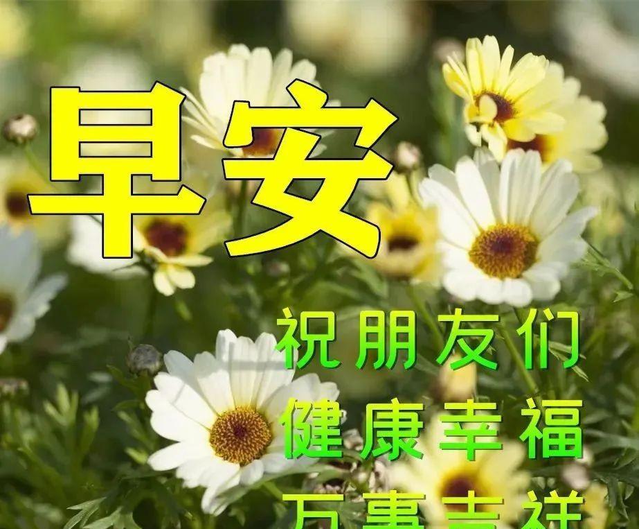 清晨问候朋友的早安阳光暖心句子短句（早上好问候动态表情图片带字大全）