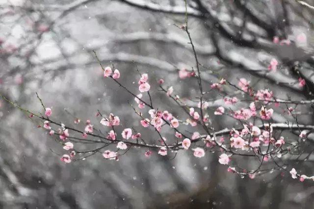 适合写年终总结的诗句（年终总结必备古诗词名句）