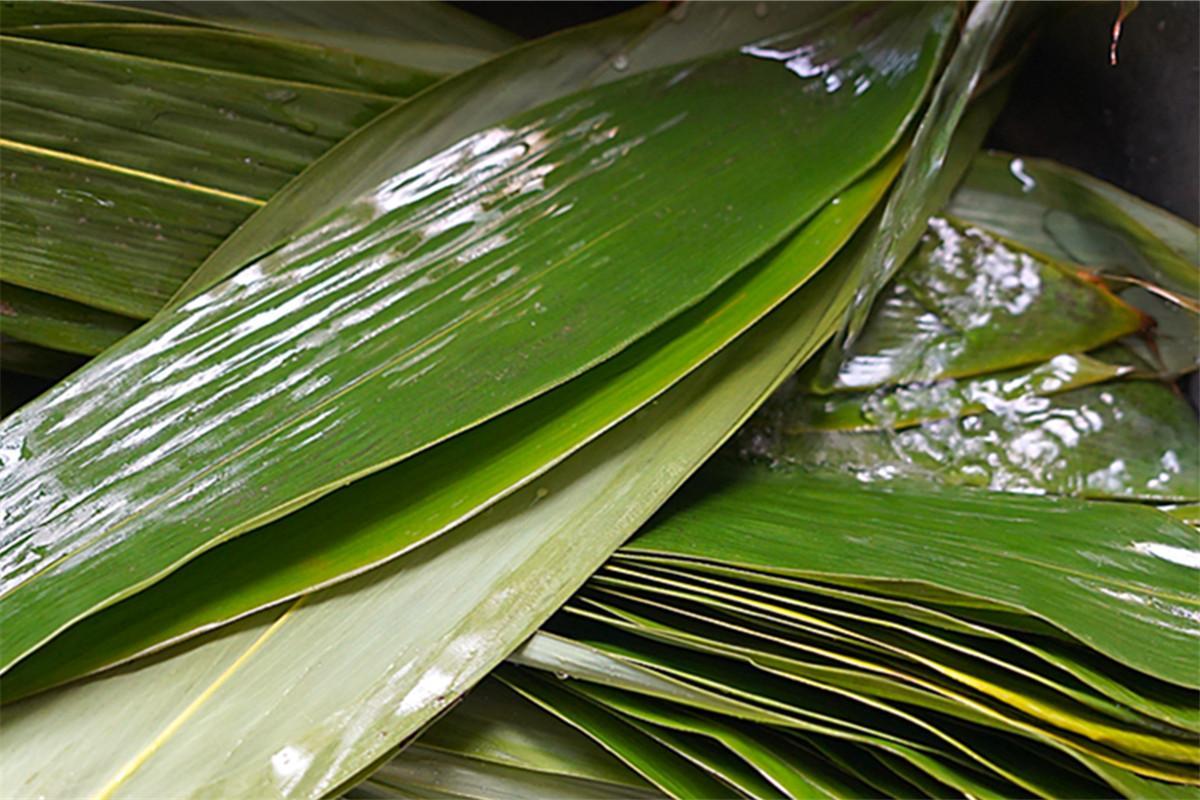 花样粽子怎么包（花样粽子包法）