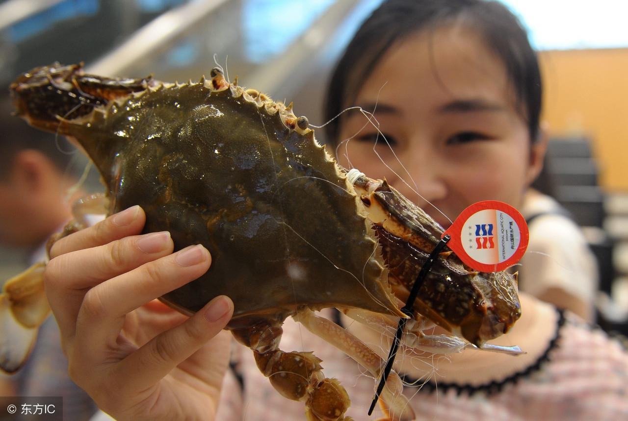 简单辨别梭子蟹是否鲜活，没有梭子蟹能承受第六关测试而不露馅