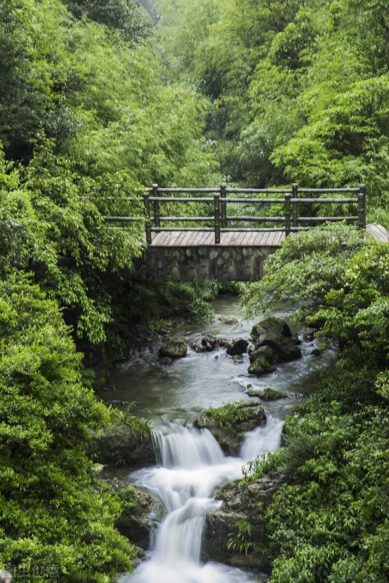 钟山即事原文及翻译（钟山即事赏析）