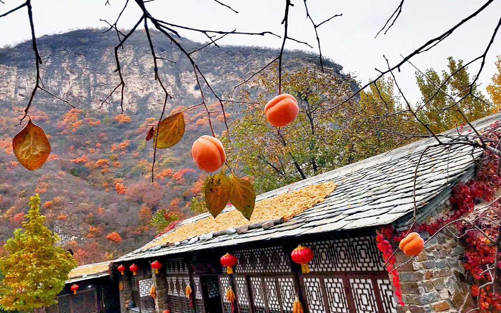 临江仙·夜饮东坡醒复醉翻译（《临江仙·夜饮东坡醒复醉》赏析）