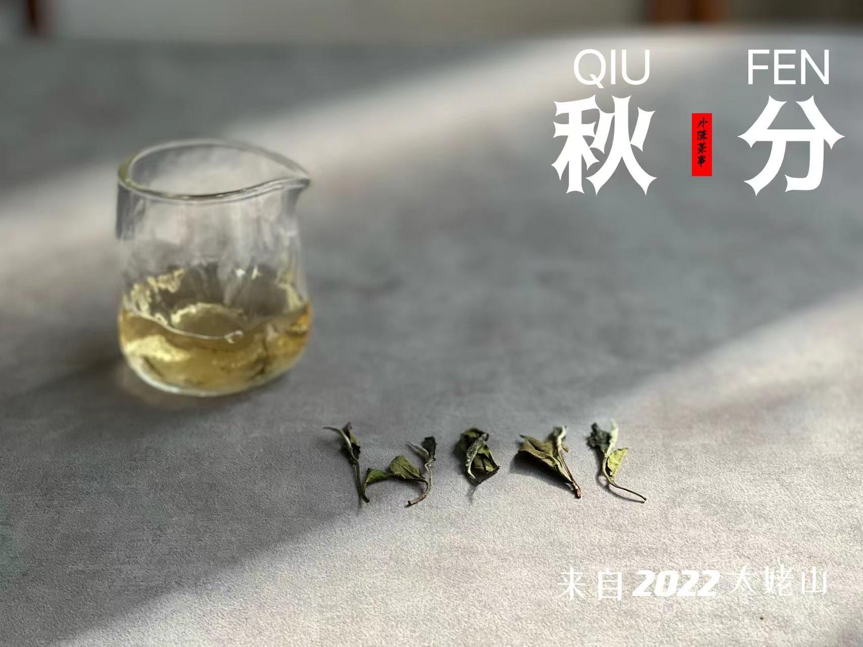 腊月大寒，冬天保温茶水牢记“3要3不要”，助你喝上暖心热茶