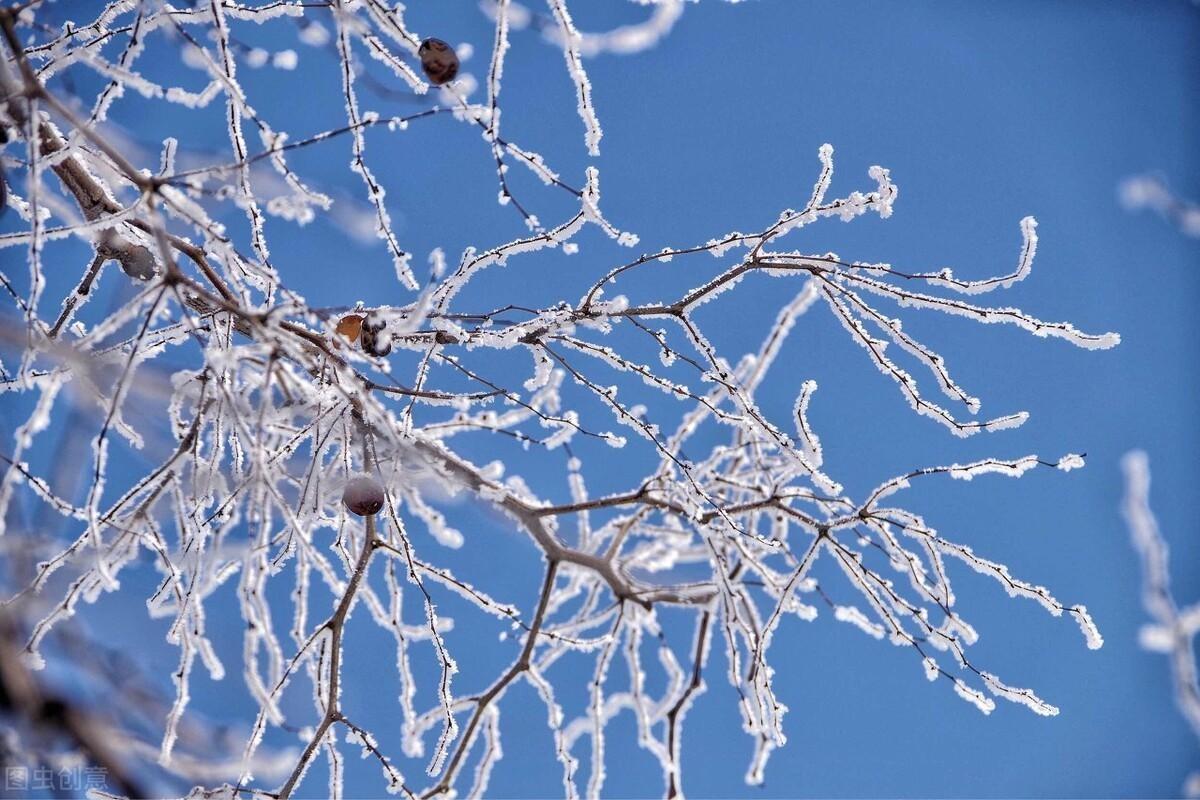 雪在诗中的别称（突出雪的特点的诗句）