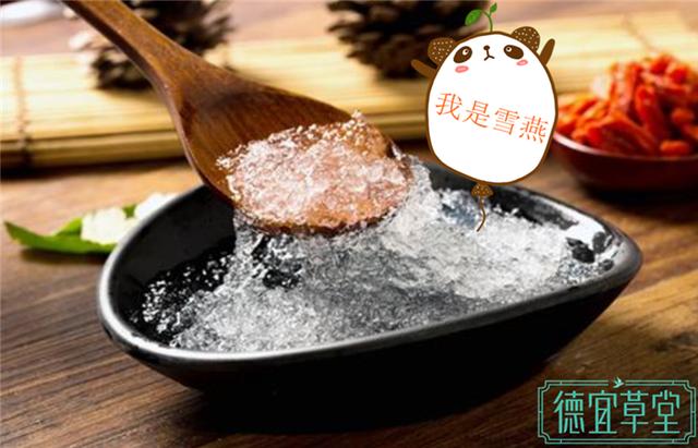 血燕和雪燕是两种不同的物种，雪燕和燕窝一点关系也没有