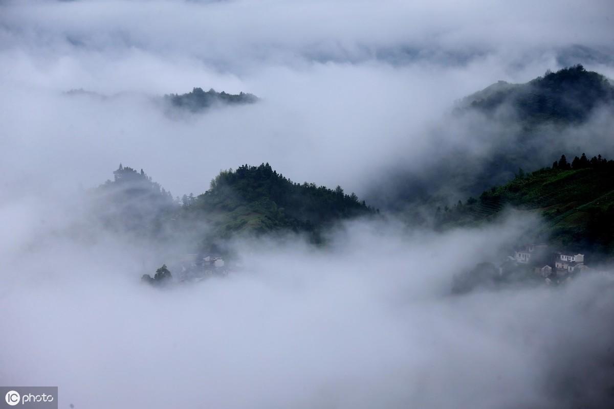 杜甫《登高》原文（杜甫登高赏析）