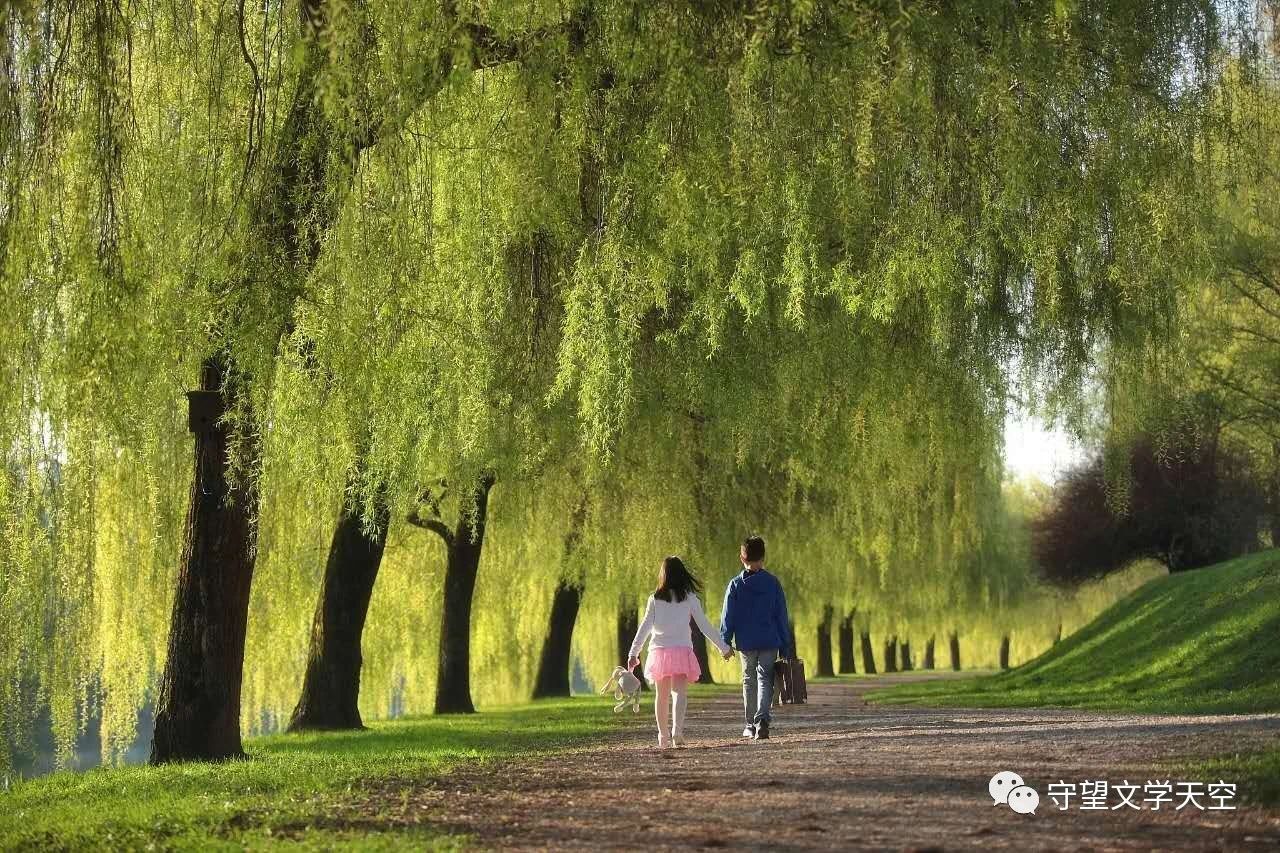 钱塘湖春行的诗歌鉴赏（钱塘湖春行赏析及答案）