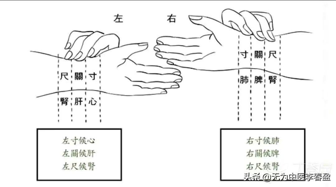 如何脉诊及脉诊的意义（问诊把脉的意思）