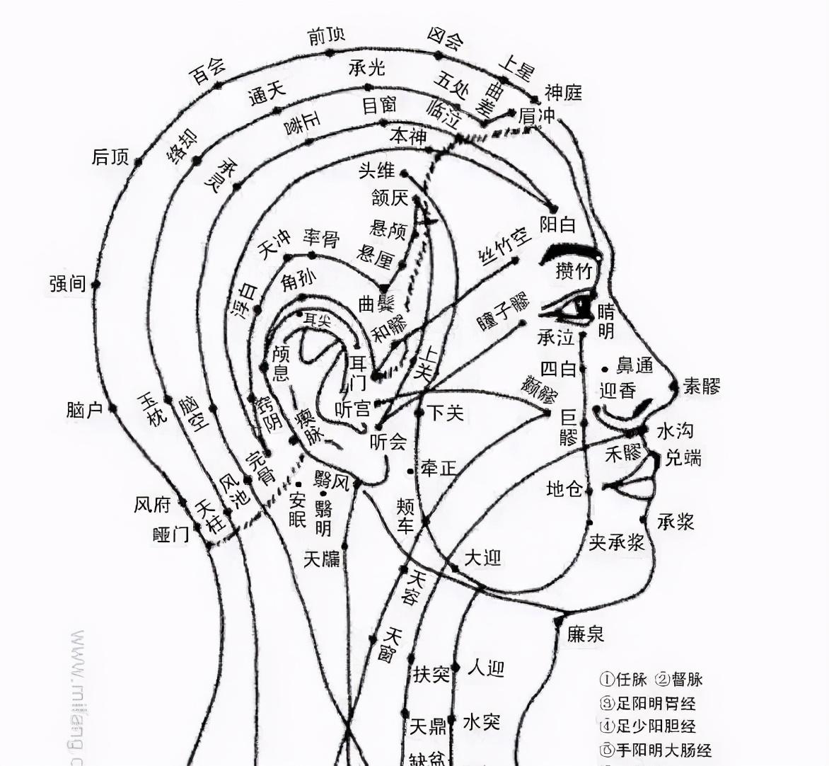 梳子的品牌是哪个好（梳子品牌推荐）