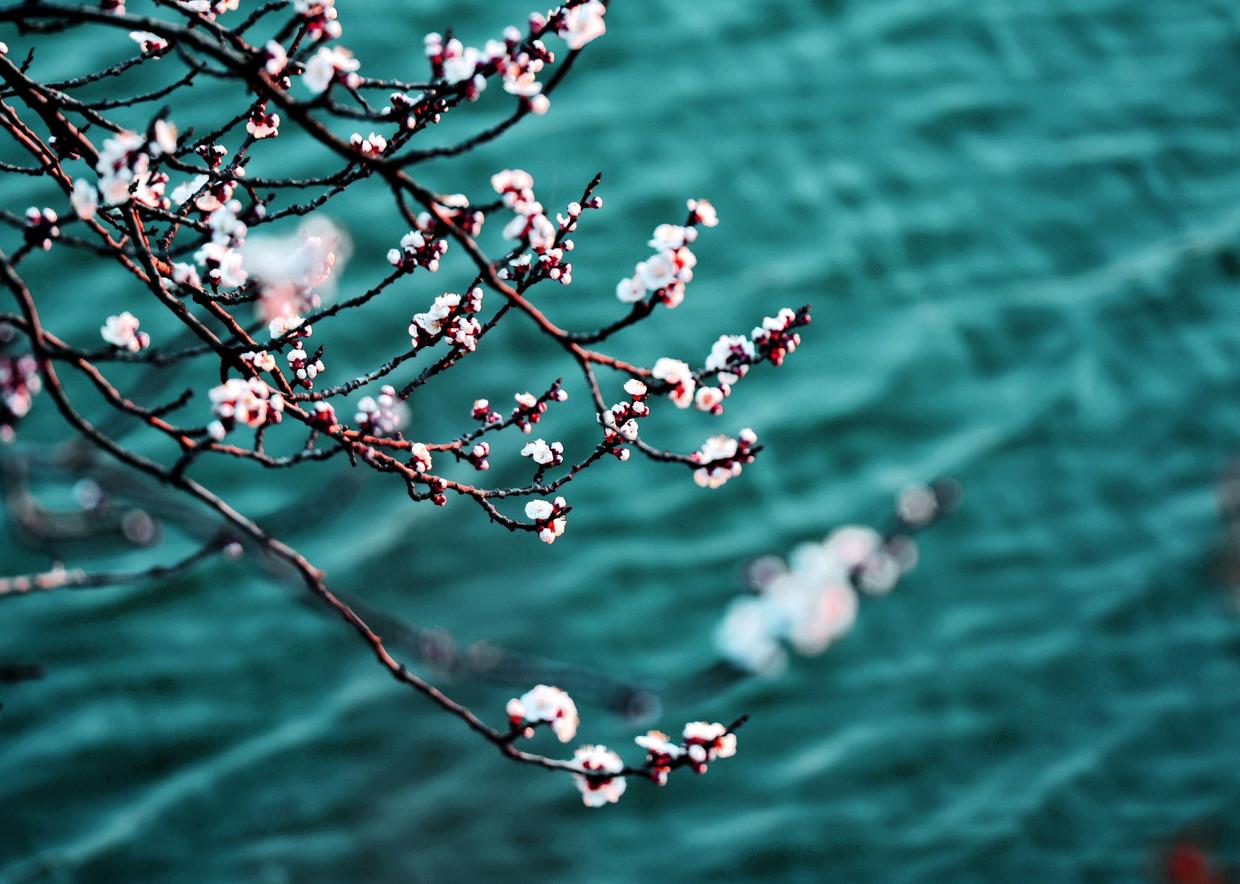 怎样写好风景诗（向杜牧学习唐诗写景方法）