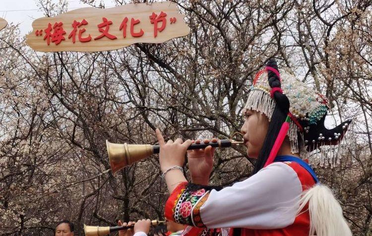 梅花的文化内涵和象征的意义（梅花的文化意蕴）