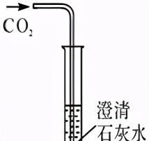 二氧化碳的性质和制法知识点（初三化学二氧化碳的制取与性质）