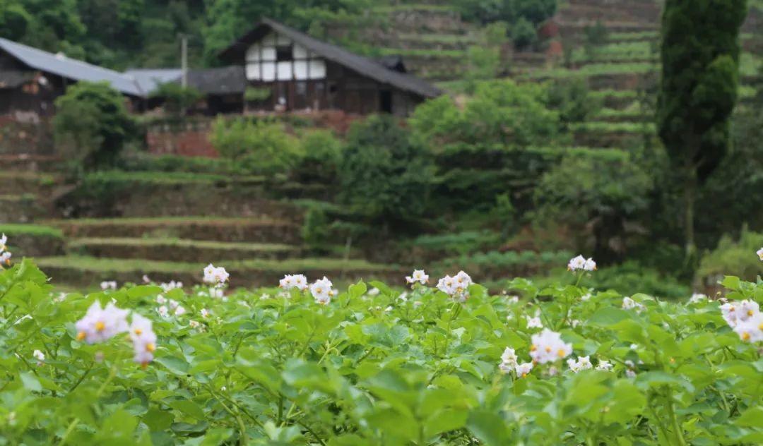 蜂群越冬技术与管理（蜂群冬天怎么管理）