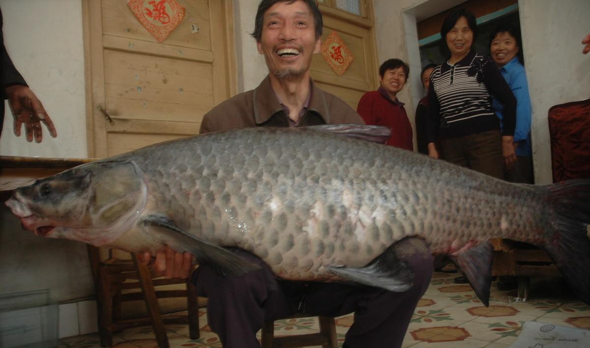 黑龙江产地三花五罗十八子72种杂鱼（东北三花五罗十八子都是什么鱼）