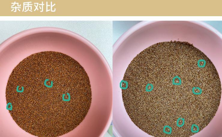 海藻颗粒怎样辨别真假（​海藻面膜是真的海藻种子吗？）