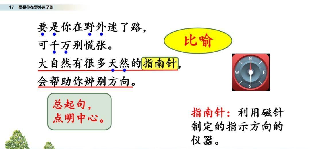 要是你在野外迷了路图文讲解（要是你在野外迷了路阅读题）