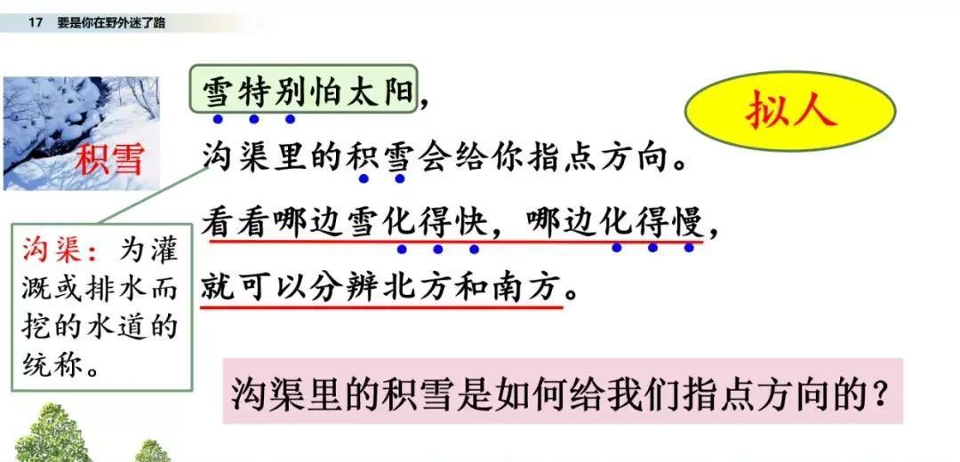 要是你在野外迷了路图文讲解（要是你在野外迷了路阅读题）