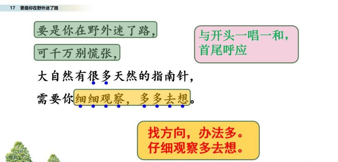 要是你在野外迷了路图文讲解（要是你在野外迷了路阅读题）