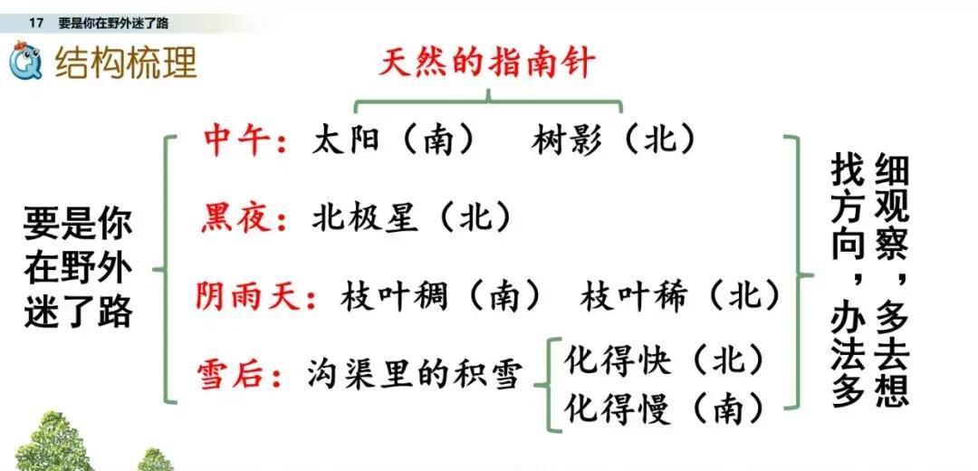 要是你在野外迷了路图文讲解（要是你在野外迷了路阅读题）