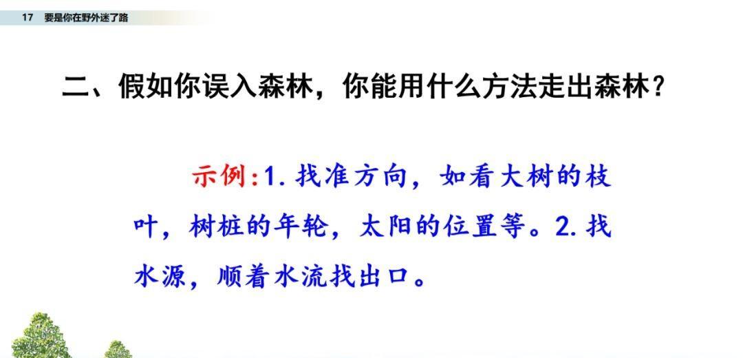 要是你在野外迷了路图文讲解（要是你在野外迷了路阅读题）