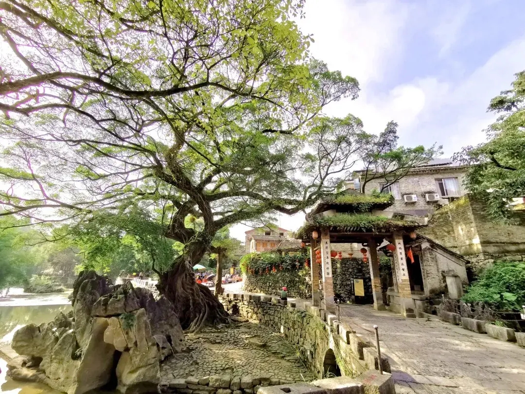 广西黄姚古镇旅游景点介绍（广西黄姚古镇自由行攻略）