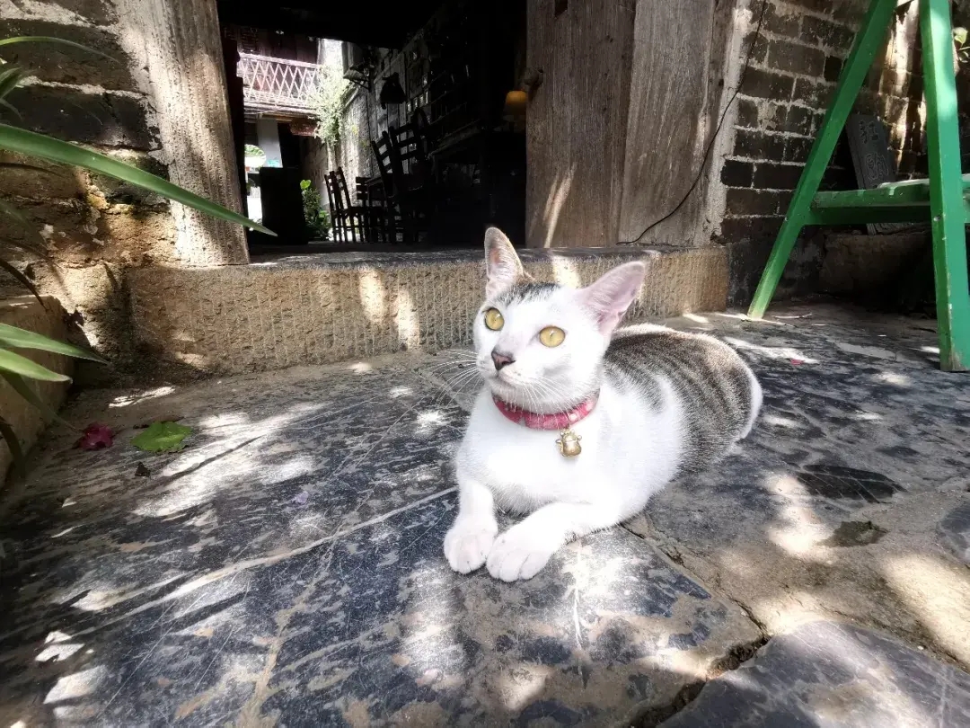 广西黄姚古镇旅游景点介绍（广西黄姚古镇自由行攻略）