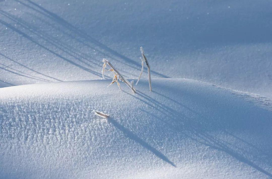 十首关于咏雪的诗句（咏雪不带雪的诗句）